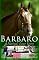 Barbaro: A Nation's Love Story