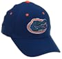 Florida Gators Adult  One-Fit Hat