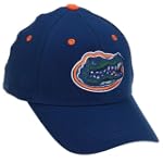 SAVE $5.04 - Florida Gators Adult One-Fit Hat $14.95