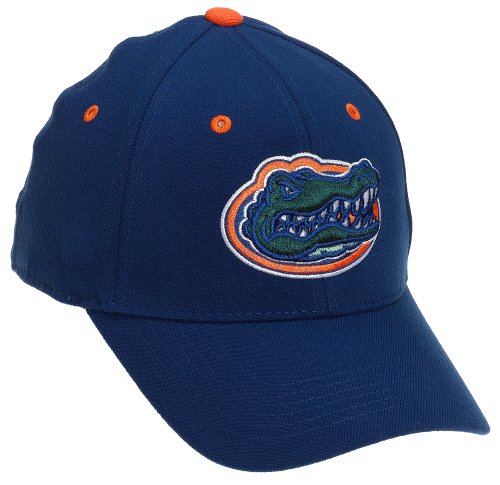 Florida Gators Adult  One-Fit Hat