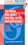 Six Sigma for Small and Mid-Sized Organizations: Success Through Scaleable Deployment