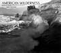 American Wilderness Black & White Deluxe Wall Calendar: 2003