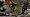 Killzone 2 (PS3)
