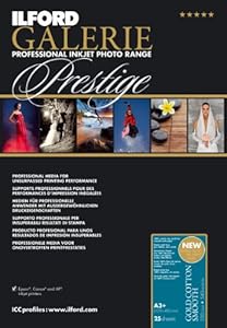 Ilford 2002388 13 X 19 Inches GALERIE Prestige Gold Cotton Smooth, 25 Sheet Pack (Black)