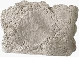 Niles RS8SI Coral (Ea) (FG01032) 8 inch 2-Way Stereo Input Rock Speaker