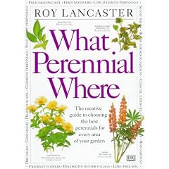 What Perennial Where