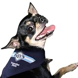 Tampa Bay Rays Navy Blue Small Pet Bandana (Medium/Large)