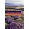 Sustainable Landscape Design Books for Southern California