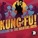 Kung Fu! Reggae vs. the Martial Arts