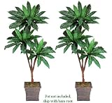 Two 6' Bird Nest Tripled Artificial Palm Trees Silk Plants