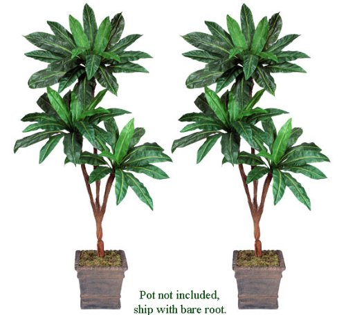 Two 6' Bird Nest Tripled Artificial Palm Trees Silk Plants