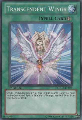 Yu-Gi-Oh! - Transcendent Wings (LCGX-EN079) - Legendary Collection 2 - 1st Edition - Common