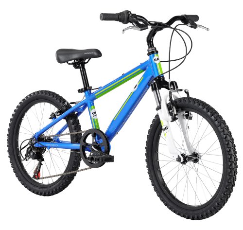 blue diamondback mountain bike