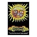 Sublime Sun Flocked Blacklight Music Poster Print - 24x36