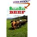 Salad Bar Beef