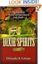 Dixie Spirits: True Tales of the Strange and Supernatural in the South