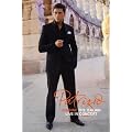 Patrizio Buanne - the Italian Live in Concert [DVD]