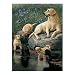 FX Schmidt Motherhood 1000 Piece Jigsaw Puzzle