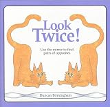 Look Twice: Use the Mirror to Find Pairs of Opposites