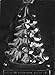 CybrTrayd Medium/Large Christmas Tree Chocolate Candy Mold - 1 piece