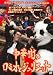 岸和田少年愚連隊  中華街のロミオとジュリエット [DVD]