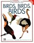 Birds, Birds, Birds!
