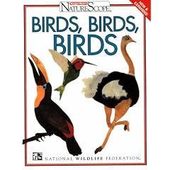 Birds, Birds, Birds!