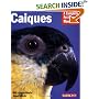 Caiques (A Complete Pet Owner's Manual)