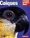 Caiques (Complete Pet Owner's Manual)