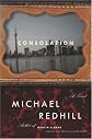 Consolation: A Novel