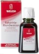 Ratanhia Mouthwash concentrate - 1.7 oz. - Liquid Ratanhia Mouthwash concentrate - 1.7 oz. - Liquid