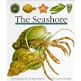 The Seashore (First Discovery Series)