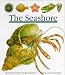 The Seashore