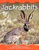 Jackrabbits (Pebble Books)