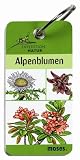 Expedition Natur - Alpenblumen - Anita van Saan, Arno Kolb