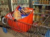51RDO%2B 8UaL. SL160  Bag Ease® Eco Friendly INSULATED Reusable Shopping Bag