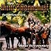 Orig.Wiener Schrammelmusik