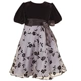 Toddler Girls Special Occasion Holiday SILVER FLOWER Dress RARE EDITIONS 2T-4T