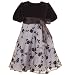 Toddler Girls Special Occasion Holiday SILVER FLOWER Dress RARE EDITIONS 2T-4T