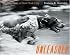 Unleashed: The Dog Runs of New York City