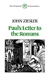 Paul's Letter to the Romans (New Testament commentaries)