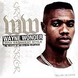 Wayne Wonder -  Inna Bashment Style