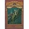 Pirate stories and adventures for Young Readers