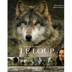 Le Loup : Sauvage et Fascinant