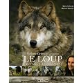 Le Loup : Sauvage et Fascinant