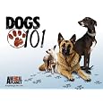 Dogs 101 Season 1