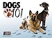 Jack Russell, Golden Retriever, Pembroke Corgi, Vizsla, German Shepherd