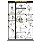 51RDd30wVUL. SL160  Algra Fitnus Chart Aerobic Flexibility