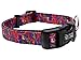 Dutch Dog Amsterdam Eco Friendly Van Heemskerck Dog Collar, 10-15-Inch, Small