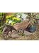 Wood Garden Wheel Barrow Planter